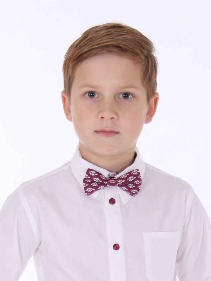 Bordoopunane kikilips Red Bow Tie - Image 1